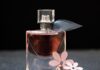 Gama stylowych perfum męskich