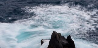 Dlaczego ceny obligacji spadają?