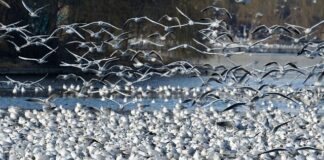 Jak sprawdzić ile warta jest działka?