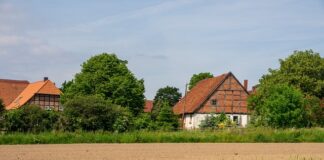 Ile kosztuje wycena spadku?