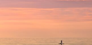 Co to jest trend w ekonometrii?