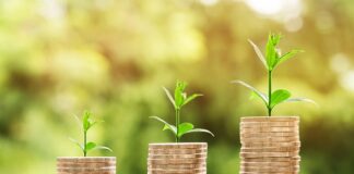 Jak się liczy yield nieruchomości?