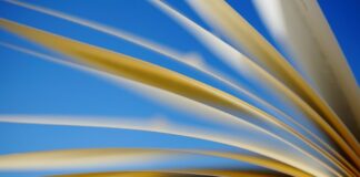 Jak odczytać wartość z linii trendu?