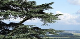 O czym mówi suma bilansowa?