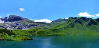 Jakie ROE jest wysokie?