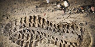 Ile kosztuje wykonanie oceny ryzyka zawodowego?