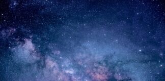 Co obejmują badania rynku?