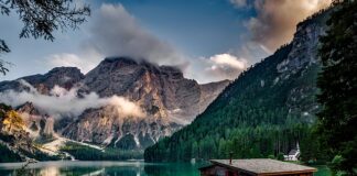 Jaką wartość domu podać notariuszowi?